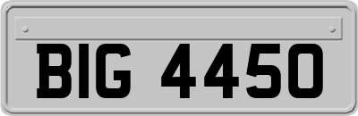 BIG4450