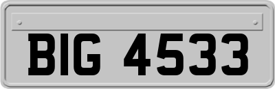 BIG4533