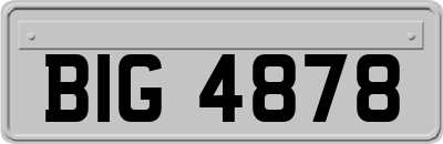 BIG4878