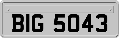 BIG5043