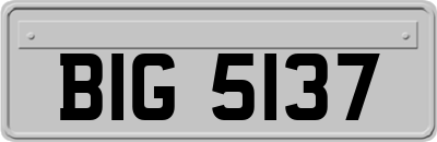 BIG5137