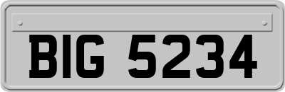 BIG5234
