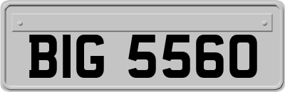 BIG5560