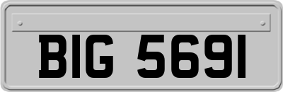 BIG5691