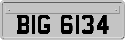 BIG6134