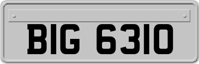 BIG6310