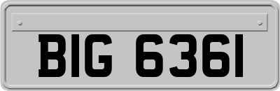 BIG6361