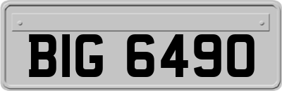 BIG6490