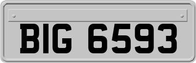 BIG6593
