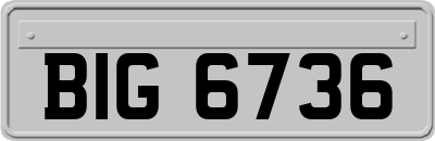 BIG6736