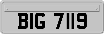 BIG7119