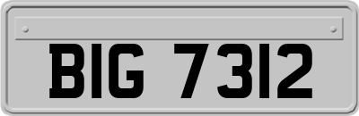 BIG7312