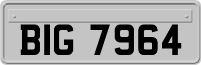 BIG7964