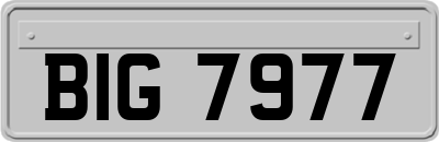 BIG7977