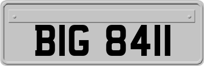 BIG8411