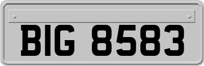 BIG8583