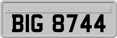 BIG8744