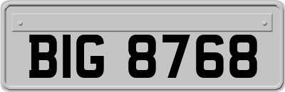 BIG8768
