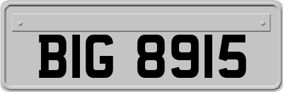 BIG8915