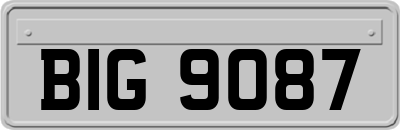 BIG9087