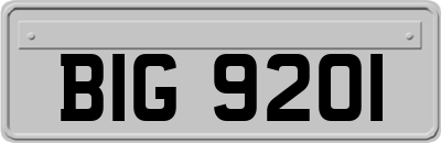 BIG9201