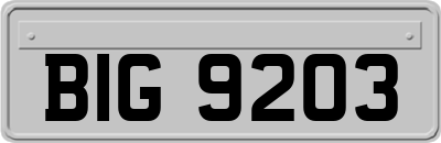 BIG9203