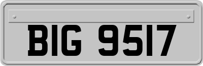 BIG9517