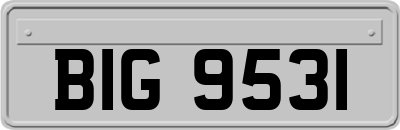 BIG9531