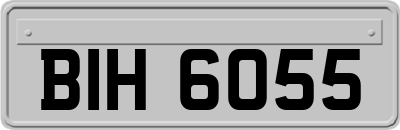 BIH6055
