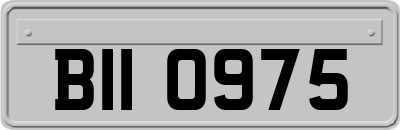 BII0975