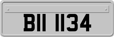 BII1134