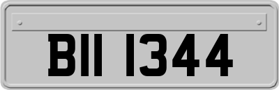 BII1344