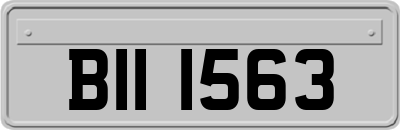 BII1563