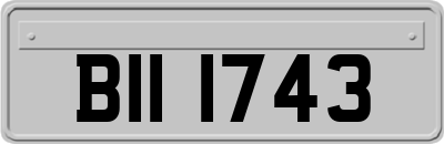 BII1743