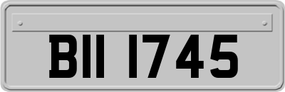 BII1745