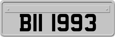 BII1993