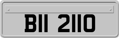BII2110