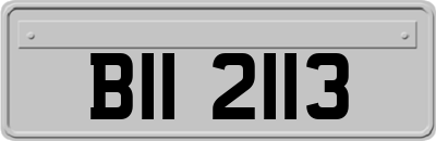 BII2113