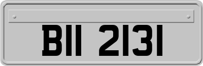 BII2131