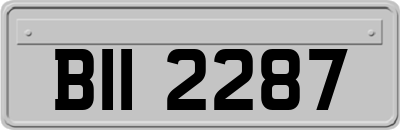 BII2287