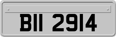BII2914