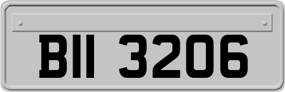 BII3206
