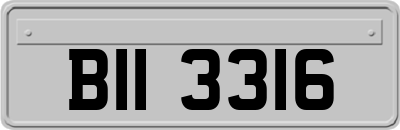 BII3316