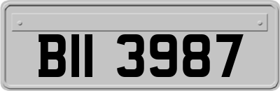 BII3987