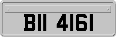 BII4161