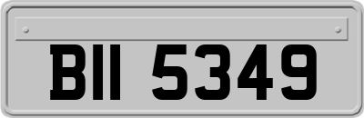 BII5349