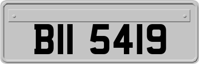 BII5419