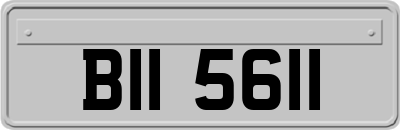 BII5611