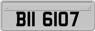 BII6107
