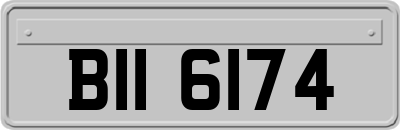 BII6174